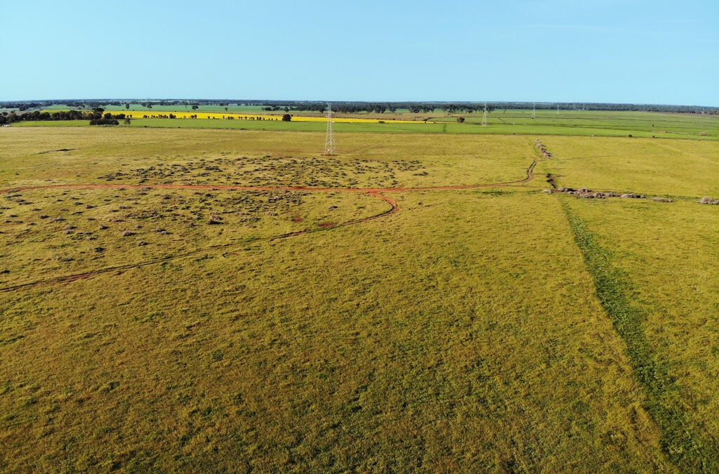 AEMO Approval Powers Next Step for ACE Power’s Flagship Solar and Battery Hybrid Project